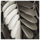 "Tropical Plant I" Digital Paper Print by Debra Van Swearingen, 32"x32"
