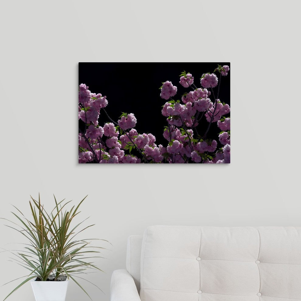 "Night Blossoms" Wrapped Canvas Art Print, 24"x16"x1.5"