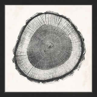 "Tree Ring II" Framed Painting Print, 24"x24"
