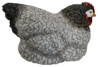 9" Lying Sussex Chicken