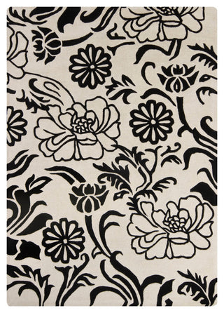 Int Transitional Area Rug, 7'x10'