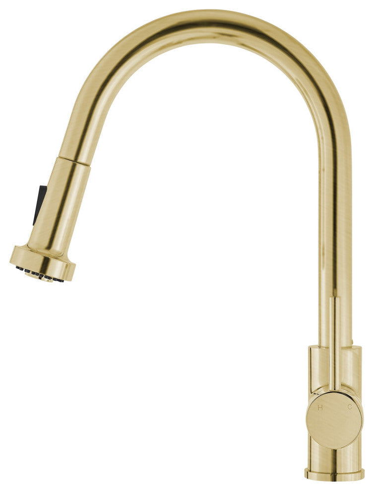Nouvet Single Handle, Pull-Down Kitchen Faucet, Brushed Gold
