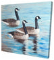 Bustards In the Water, Fine Art Gallery Wrapped Canvas, 24"x24"x1.5''