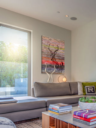 "Antelope" Print on Canvas, 16"x24"