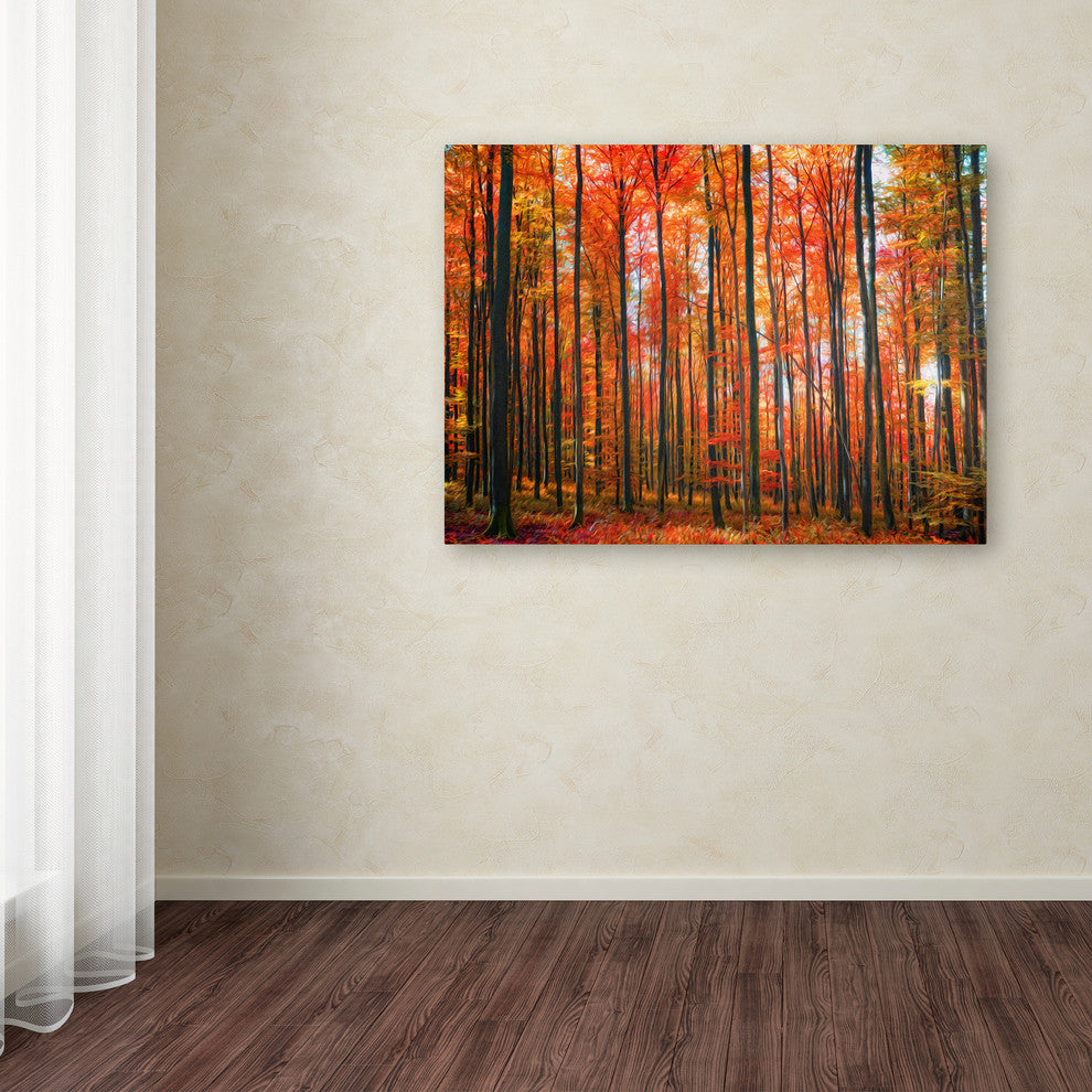 'Dominated' Canvas Art by Philippe Sainte-Laudy