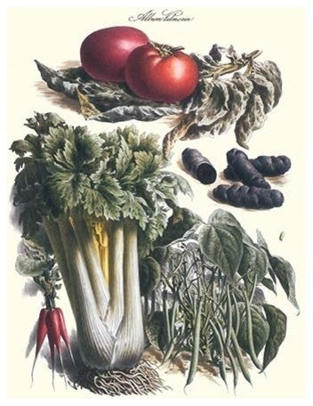 Vegetables; Green Beans, Purple Sweet Potato, and Tomato
