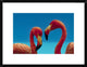 "Greater Flamingo courting pair, Caribbean species"  by Tim Fitzharris, 26x20"