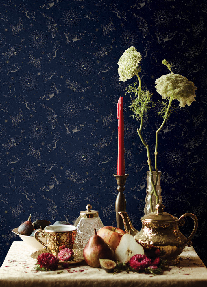Zodiac Dreams Navy Peel and Stick Wallpaper