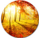 Autumnal Park, Landscape Photography Disc Metal Artwork, 23"