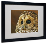 'Barred Owl Portrait' Matted Framed Canvas Art by Lois Bryan