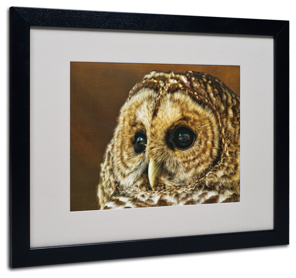 'Barred Owl Portrait' Matted Framed Canvas Art by Lois Bryan