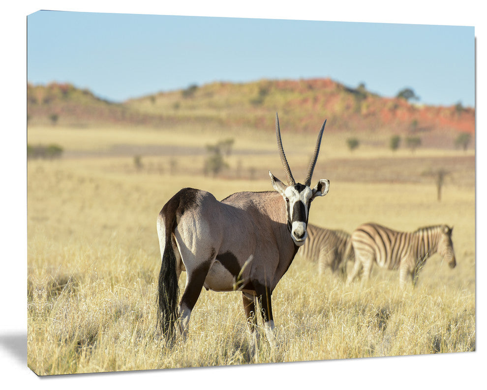 Wildlife in Namibia Grassland, African Canvas Art Print, 20"x12"