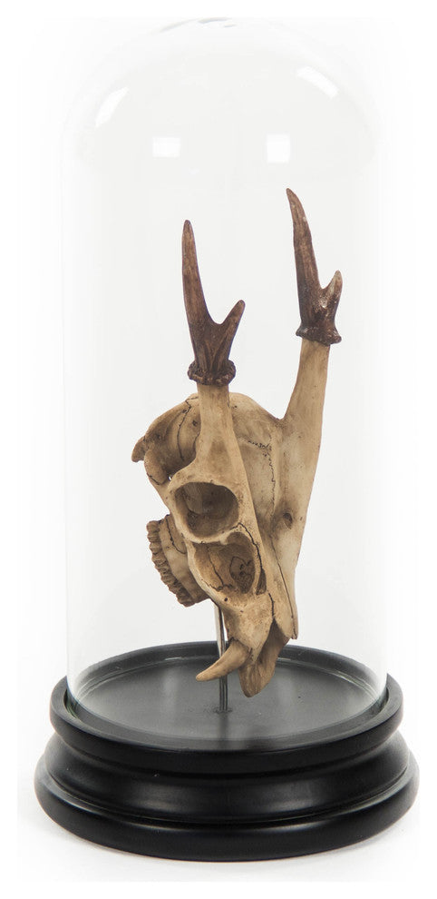 Deer Skull Statue With Cover