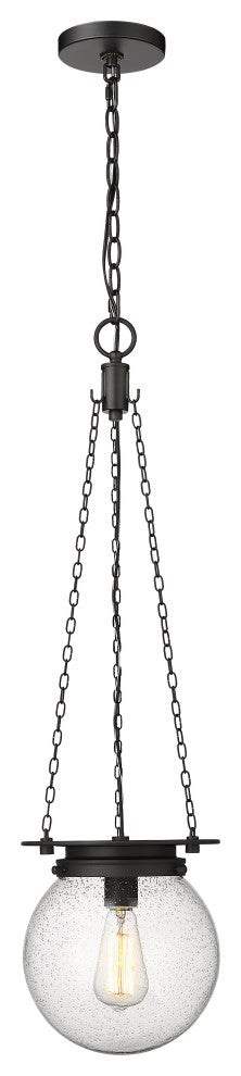 Z-LITE 1-Light Pendant, Matte black