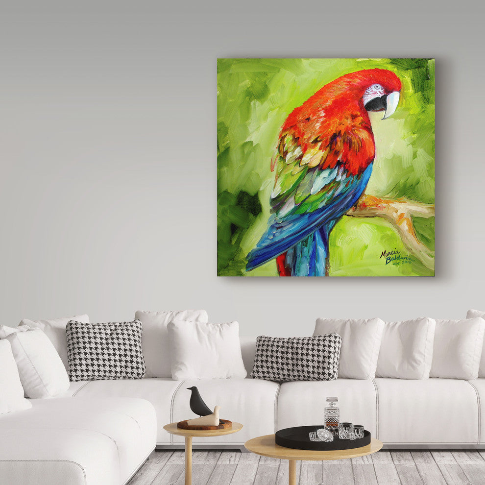 Marcia Baldwin 'Macaw Tropical' Canvas Art, 14"x14"
