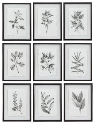9-Piece Botanical Black and White Floral Print Set, Wall Art, Leaves