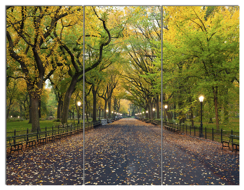 The Mall Area in Central Park, Landscape Triptych Canvas Art, 36x28, 3 Panels