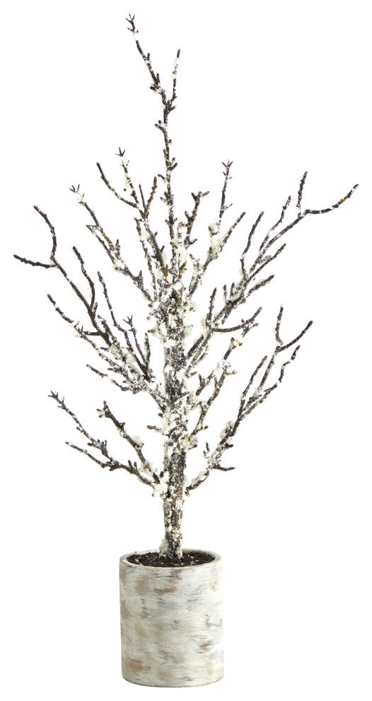 Product on white background; full front-facing view of entire tree and planter.