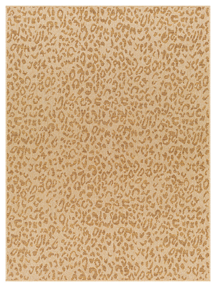 Surya Pismo Beach PMB-2300 Indoor/Outdoor Area Rug