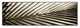 Alan Blaustein ''Florison 100'' Canvas Art, 24x8