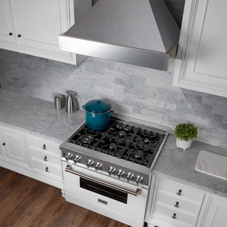 DuraSnow Stainless Steel Range Hood with DuraSnow Shell