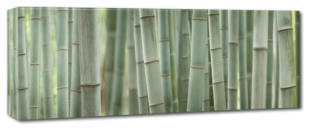 Cora Niele ''Grey Bamboo Scape'' Canvas Art