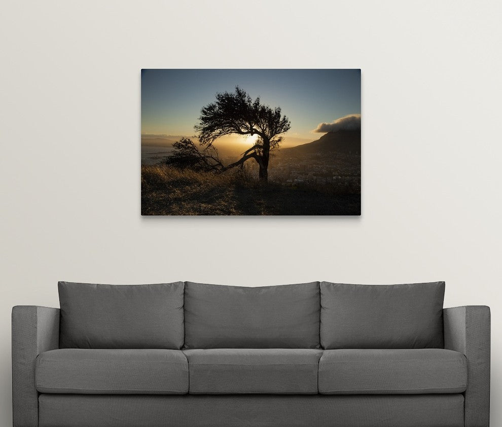 "By Table Mountain" Wrapped Canvas Art Print, 48"x32"x1.5"