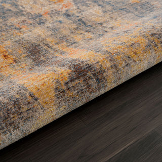 Distressed Desert Modern Area Rug, 7'9" X 10'