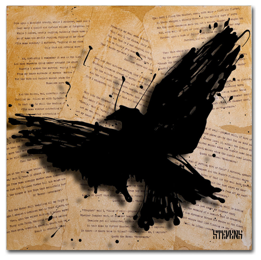 ''The Raven 2'' Canvas Art by Roderick Stevens
