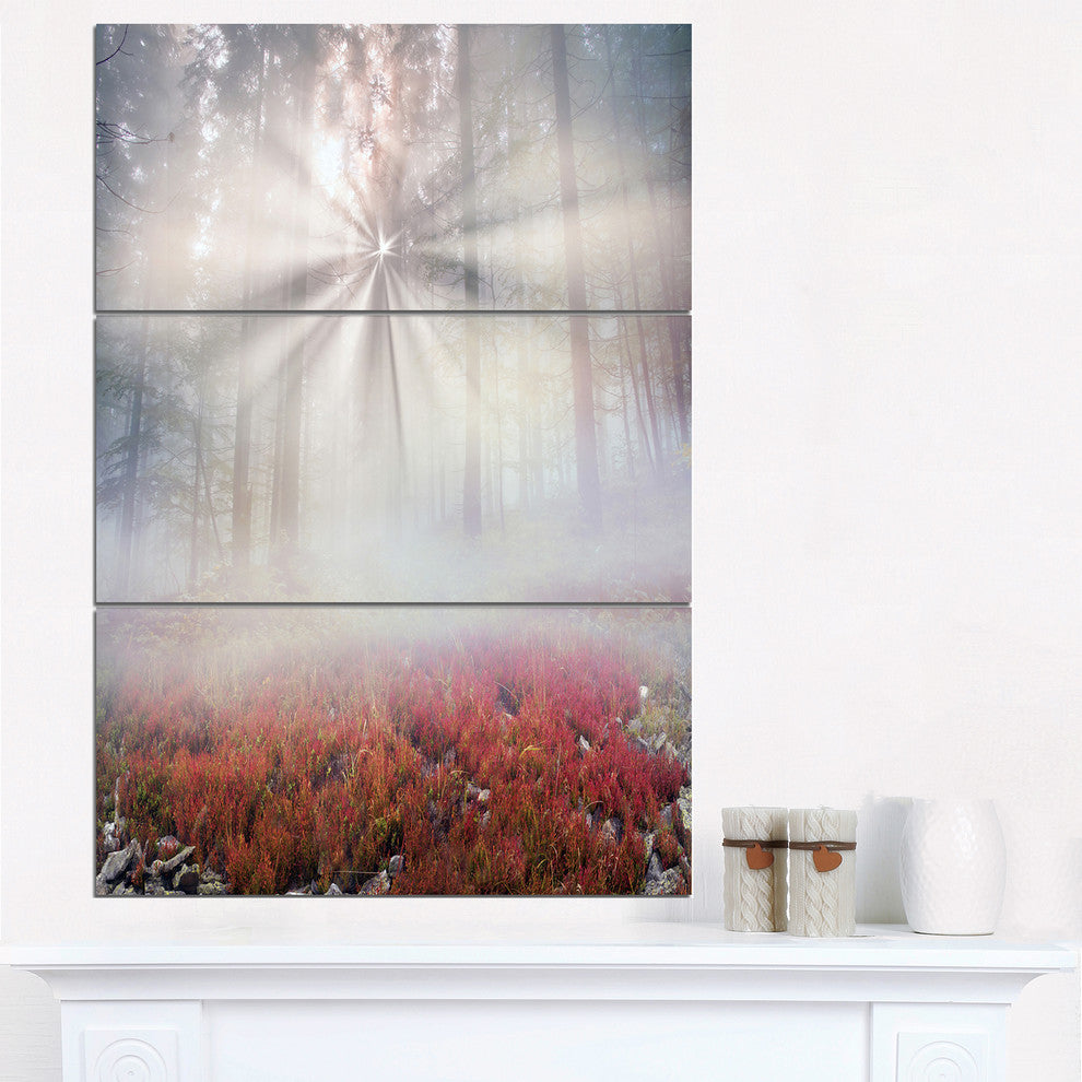 "Sun Rays Illuminating Foggy Forest" Photo Wall Art, 3 Panels, 28"x36"