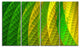 Layered Green Psychedelic Design, Abstract Canvas Art Print, 48"x28", 4 Panels