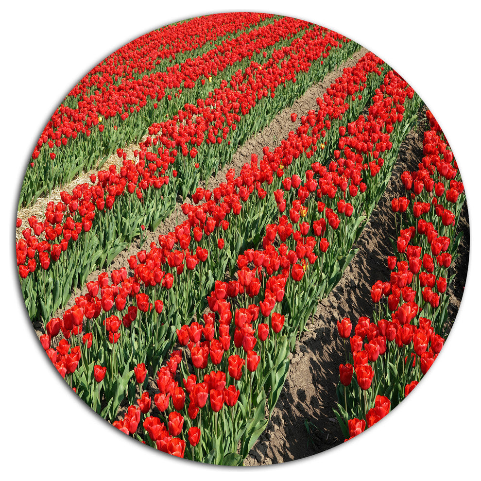 Rows Of Red Tulip Flowers, Floral Wall Round Metal Wall Art, 36"