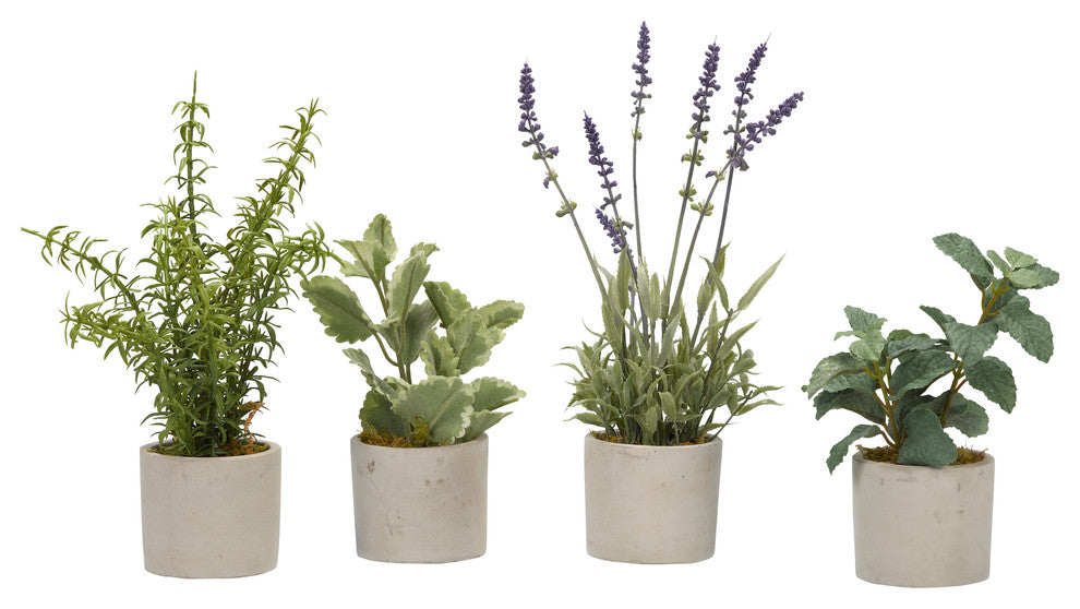 Basil, Rosemary, Lavender and Mint Sprays in Mini Cement Cylinder, 4-Piece Set