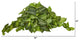 36" Nephthytis Artificial Ledge Plant