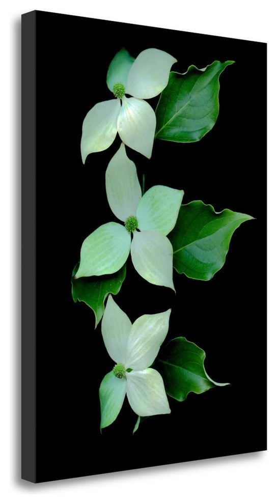 "Floral Color - 20" By Alan Blaustein, Giclee Print on Gallery Wrap Canvas