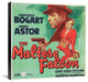 "The Maltese Falcon" Stretched Canvas Giclee by Hollywood Photo Archive, 22"x22"