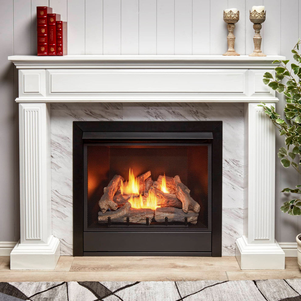 Duluth Forge Dual Fuel Ventless Gas Fireplace Insert - 32,000 BTU, Remote