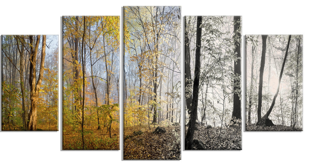 Yellow Morning in Forest Panorama, Landscape Canvas Art Print, 60"x32", 5 Panels