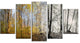 Yellow Morning in Forest Panorama, Landscape Canvas Art Print, 60"x32", 5 Panels