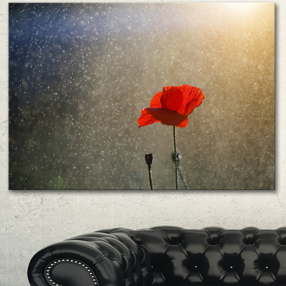 Lone Red Puppy Flower under Lights, Flowers Canvas Wall Artwork, 40"x30"