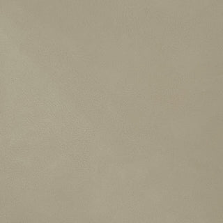 Gallo Vegan Leather Upholstered Bed, Beige, Queen