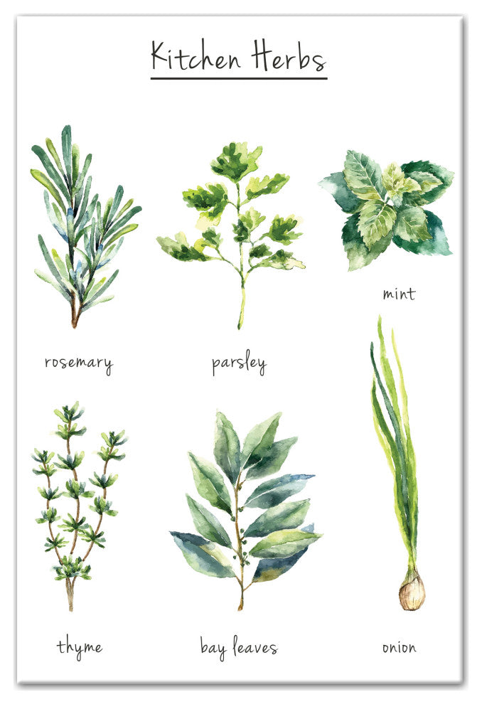 Watercolor Kitchen Herbs Canvas 20x30 Canvas Wall Art