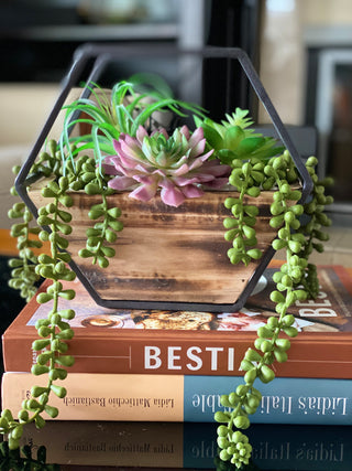 11" Hexagon Wood + Metal Wall Succ mix