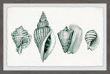 "Four Shells" Framed Painting Print, 36"x24"