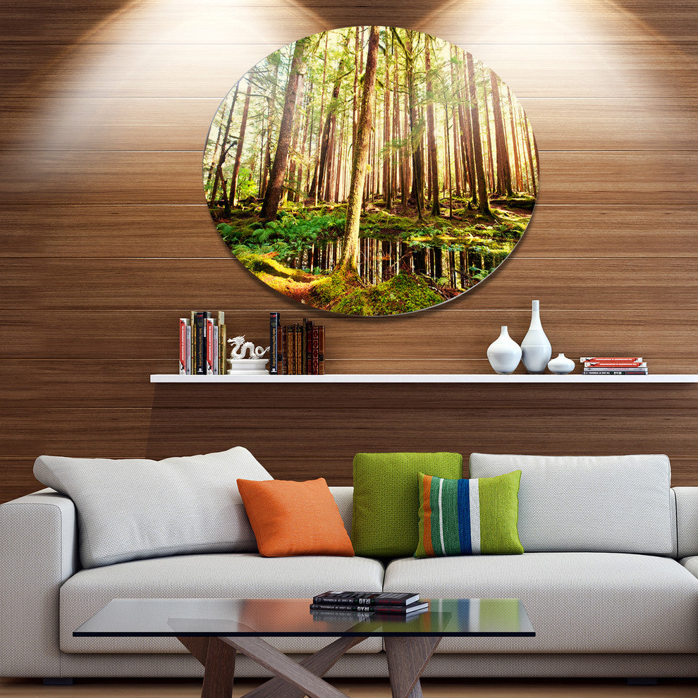 Dense Trees In Green Rain Forest, Landscape Disc Metal Wall Art, 11"