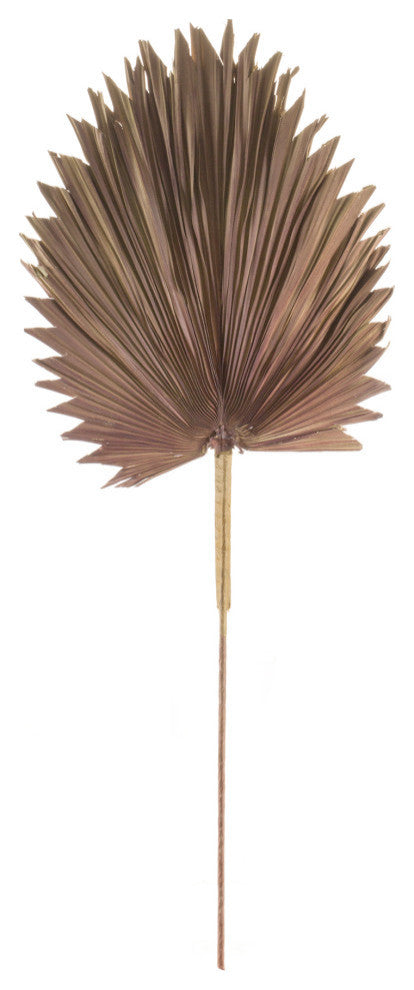 Fan Palm Leaf, 6-Piece Set