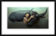 "Peaceful" Framed Digital Print by Fahmi Bhs, 30"x19"