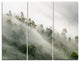 "Mystical Foggy Mountain Slope" Photo Canvas Print, 3 Panels, 36"x28"