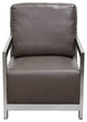 Stainless Steel Framed Leatherette Accent Chair with Sleek Armrest Gray & Silver