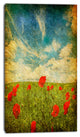 Sky Background with Red Poppies, Floral Canvas Art Print, 16"x32"